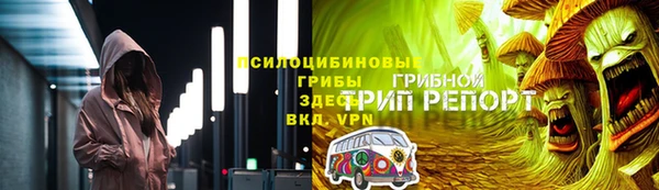 прущие грибы Алексеевка