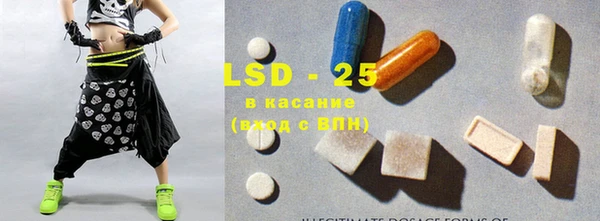 прущие грибы Алексеевка
