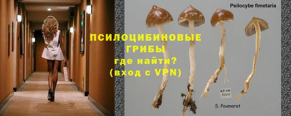 прущие грибы Алексин
