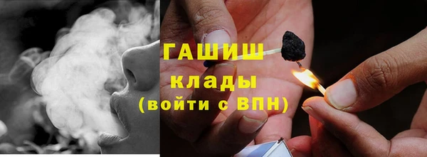 прущие грибы Алексеевка