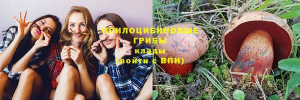 прущие грибы Алексин