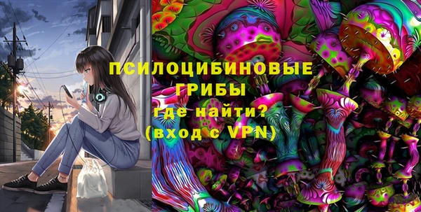 прущие грибы Алексеевка