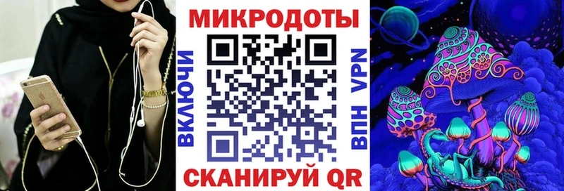 Галлюциногенные грибы Psilocybine cubensis  Лениногорск 