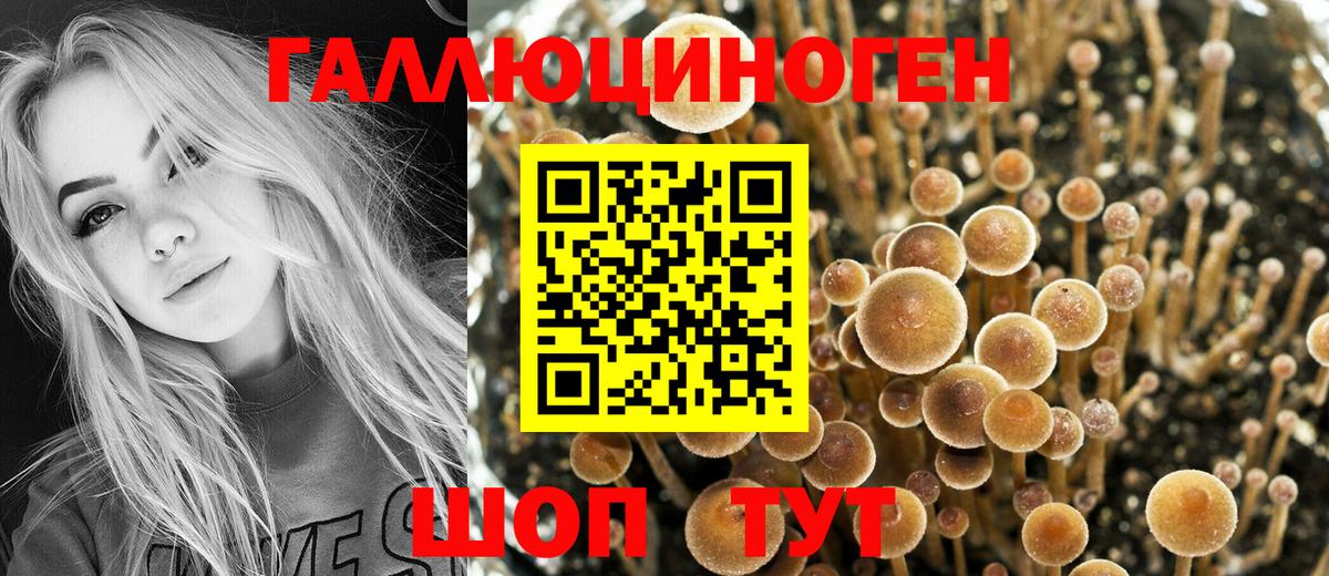 Псилоцибиновые грибы GOLDEN TEACHER Лениногорск